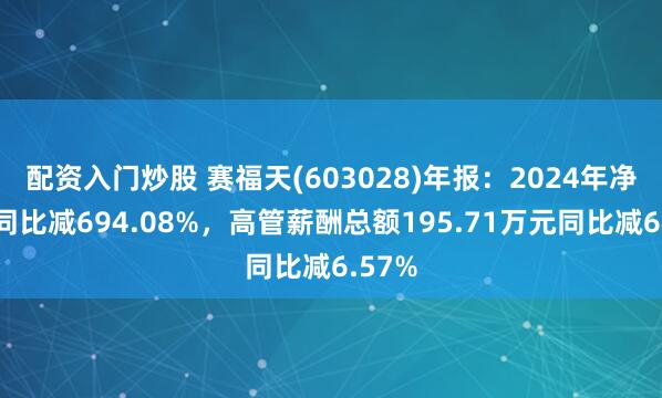 配资入门炒股 赛福天(603028)年报：2024年净利润同比减694.08%，高管薪酬总额195.71万元同比减6.57%